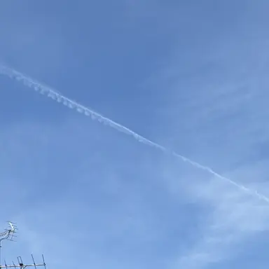 Profile image of 夏コラボメンバー