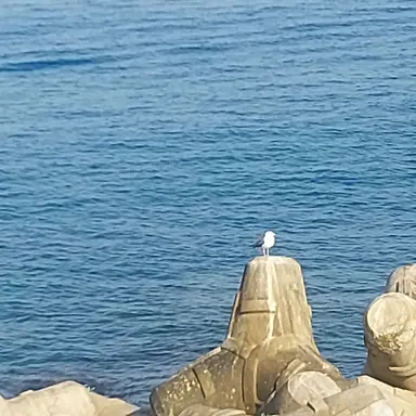 Profile image of 남사명