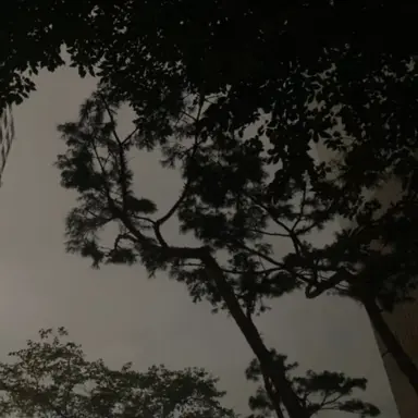 Profile image of 김민정