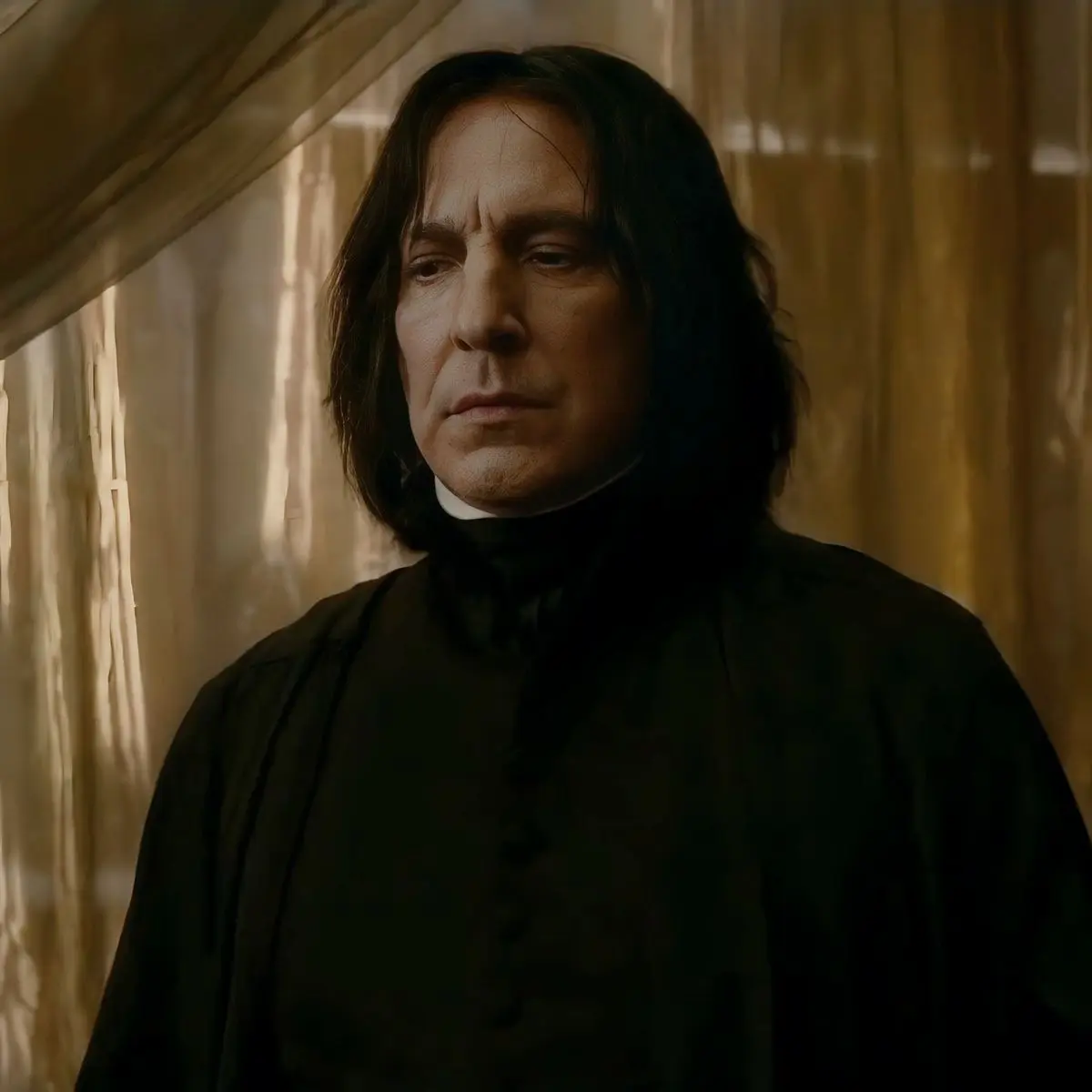 FunnySkunk9655의 Severus, My Husband