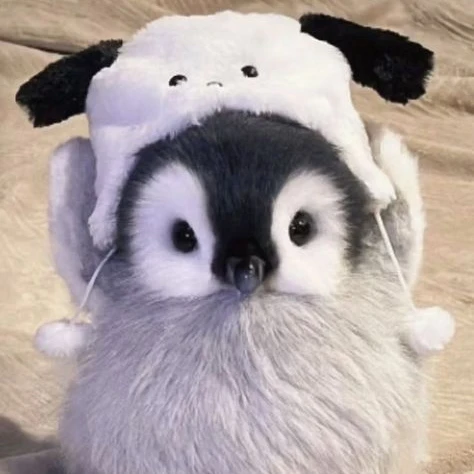 고고프렌즈