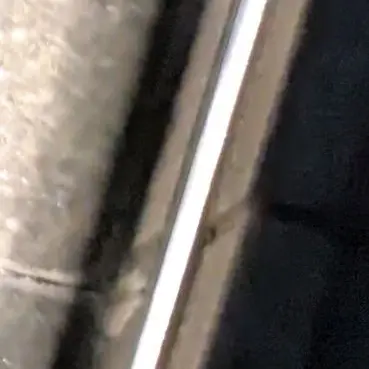 Profile image of うざ美