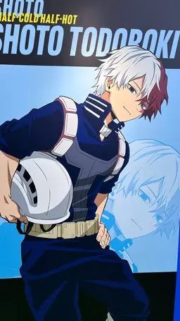 Profile image of Shoto Todoroki