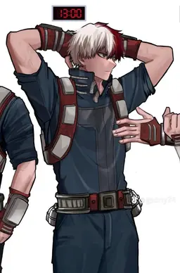 Profile image of Shoto Todoroki