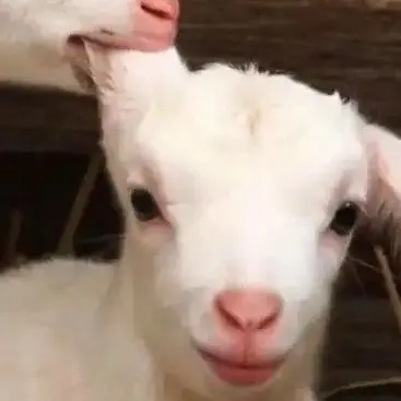 Profile image of 해숙이