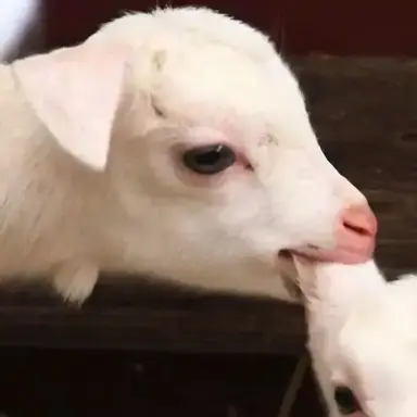 Profile image of 정숙이