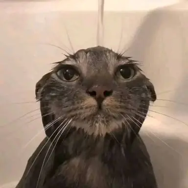 Profile image of 수박임