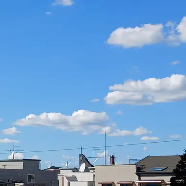 Profile image of 현수