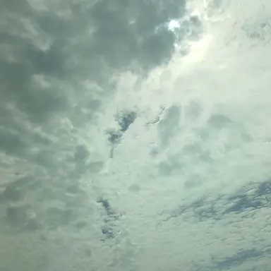 Profile image of 하리.