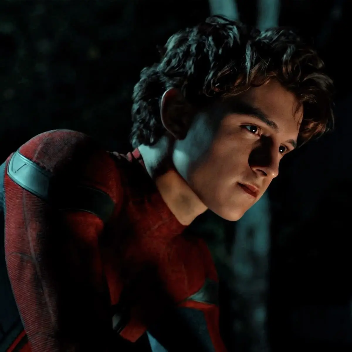 BoredWasp0699의 🕷️🕸️