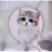 냥이