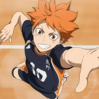 Profile image of 日向翔陽