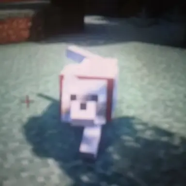Profile image of 토리