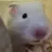 퓨바