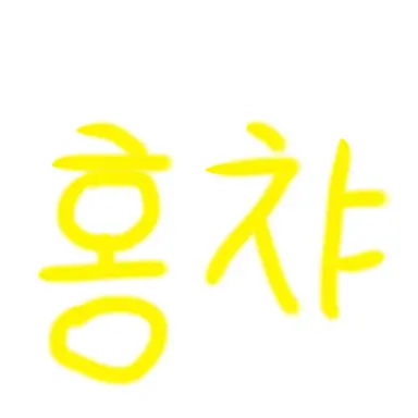 Profile image of 홍챠