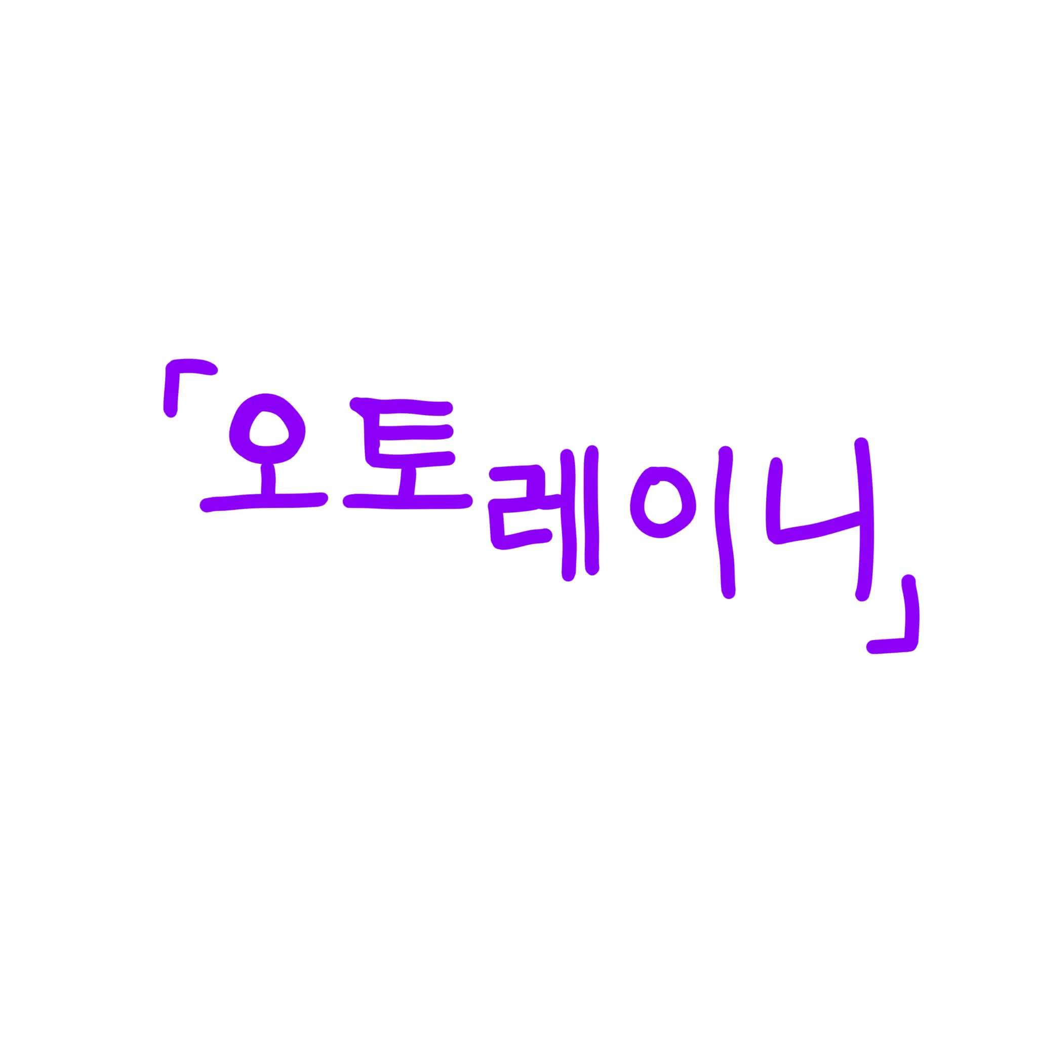 Seoah081의 오토 레이니