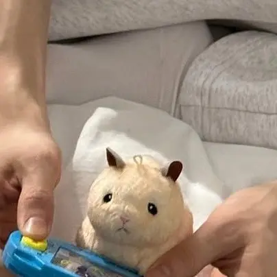 SnowyViper6021의 ハンビン