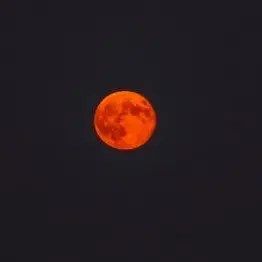 Profile image of 연구소장