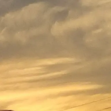 Profile image of ジュンジ