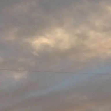 Profile image of ユーダイ