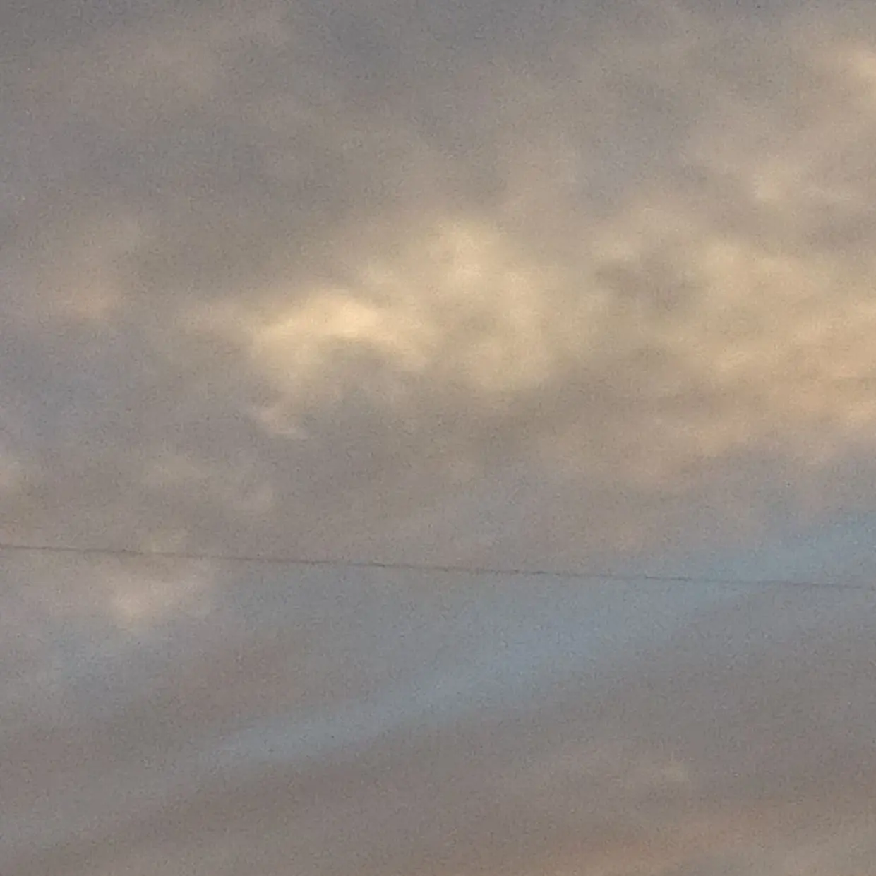 ShabbyRock5226의 ニシコリメンバーとワチャワチャ！