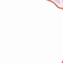 Profile image of 師匠