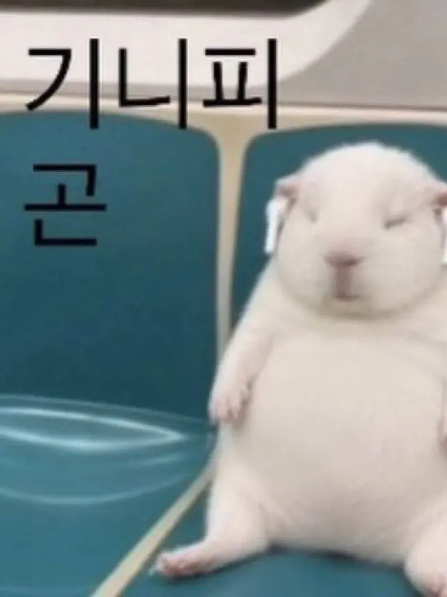 11suq의 개인늉