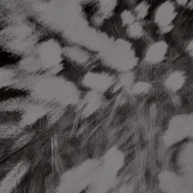 Profile image of 신정환