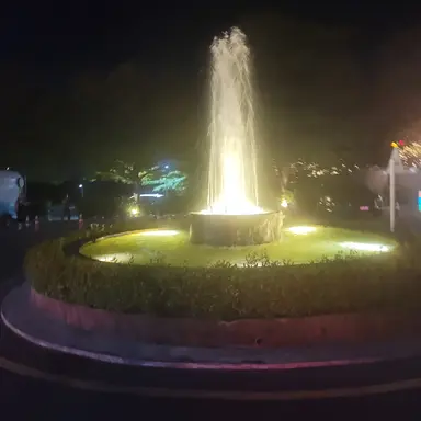 Profile image of 여우