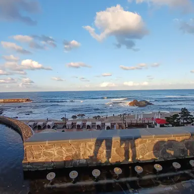 Profile image of 박춘자