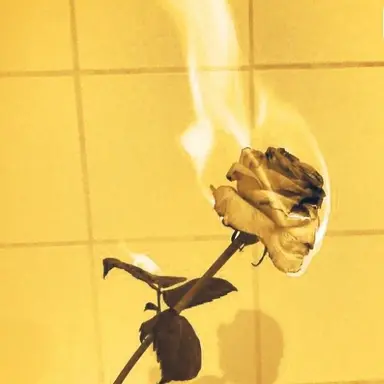 Profile image of 각별