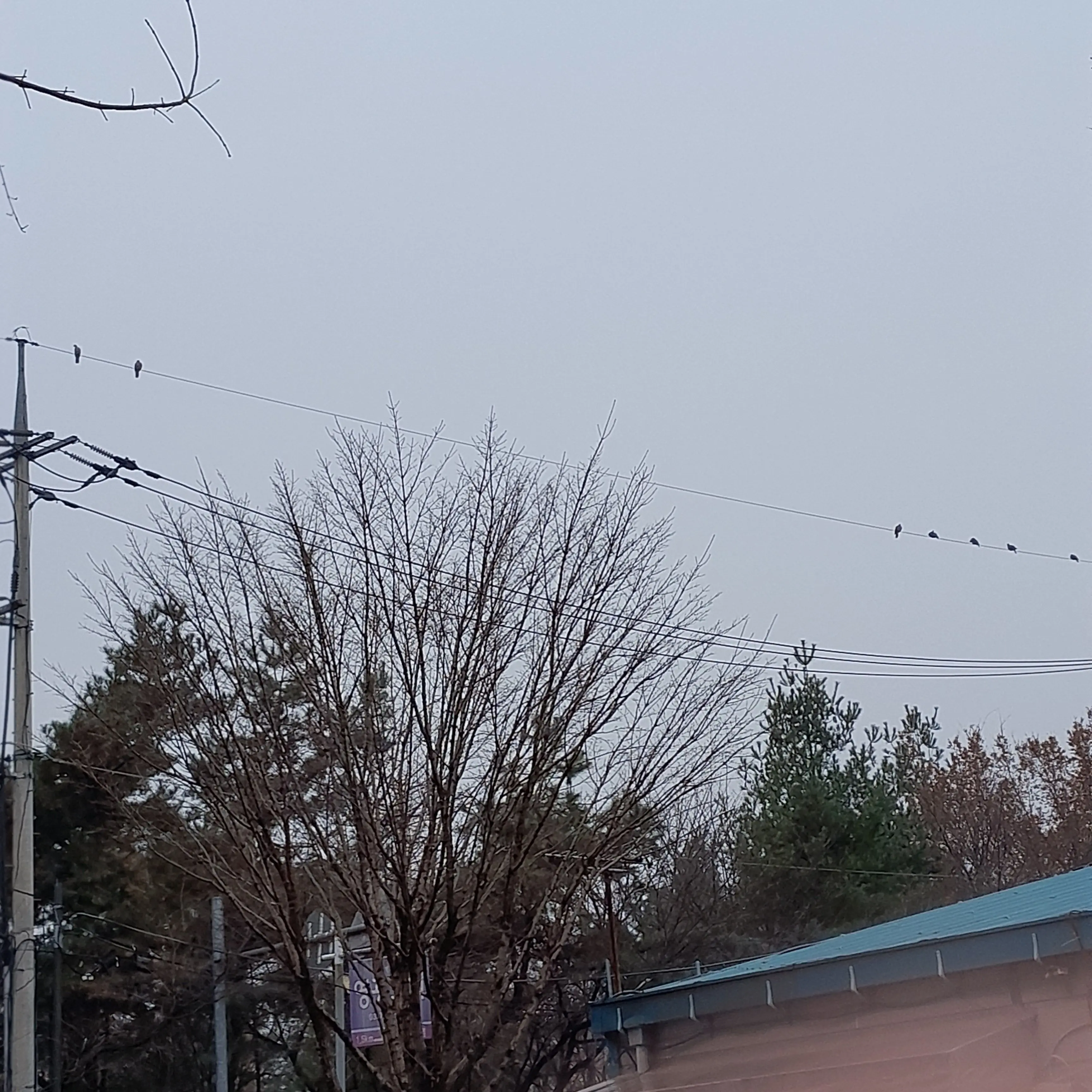 yyyyyyyy2016의 개인용이유