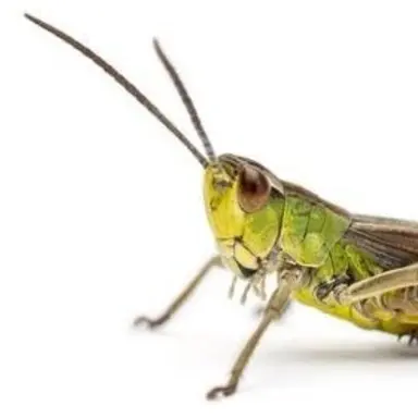 Profile image of 장소원