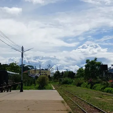 Profile image of 박문대