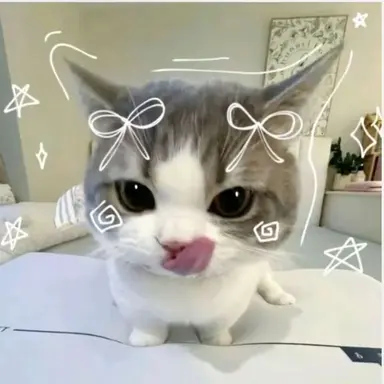 Profile image of 김테린