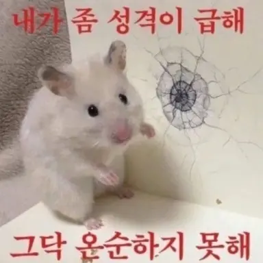 Profile image of 이동건