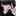 정한율