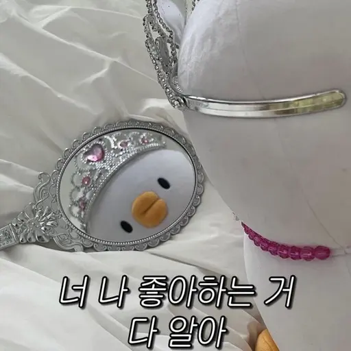 xom09의 따까즁