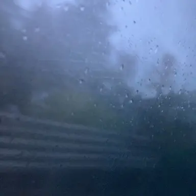 Profile image of アルフレッド