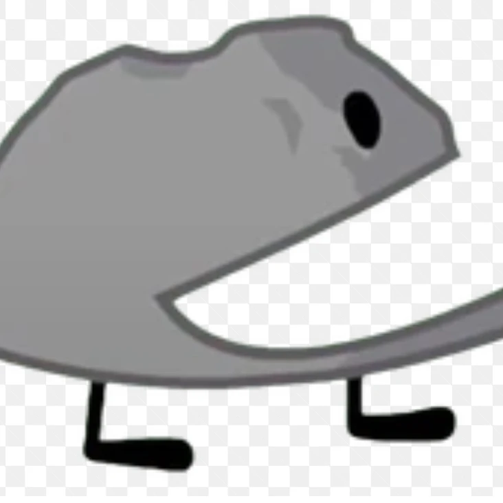 로키 (bfdi rocky)