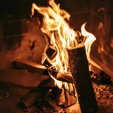 Profile image of 헤스티아