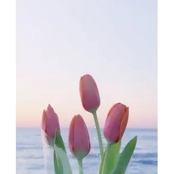 Profile image of 황수현