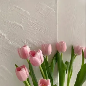 Profile image of 서아린