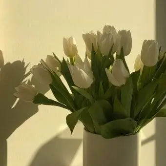 Profile image of 김일영