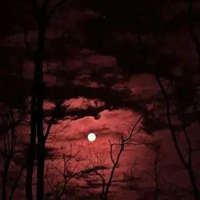 ScaredPoco7445의 Vampire Roommates