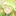 バルス・ロビン