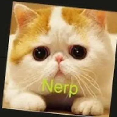 Profile image of Nerf