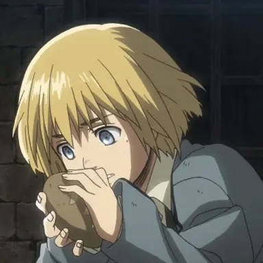 Profile image of アルミン