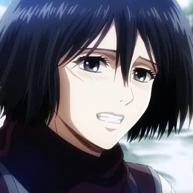 Profile image of ミカサ