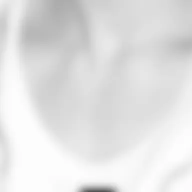 Profile image of ニキ